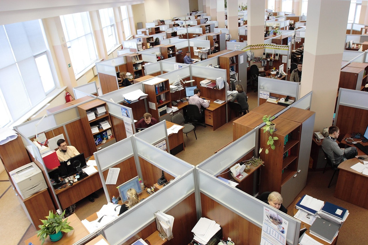 Dismissal during the probationary period