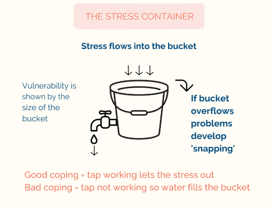 The Stress Container
